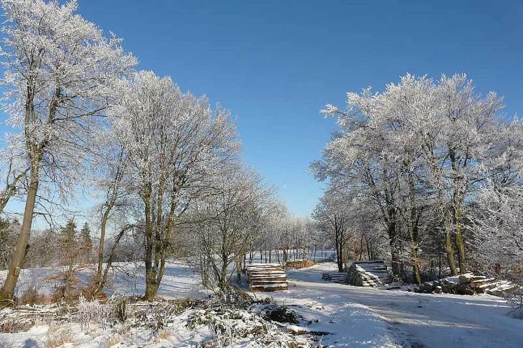 33642-Nicht zugeordnet