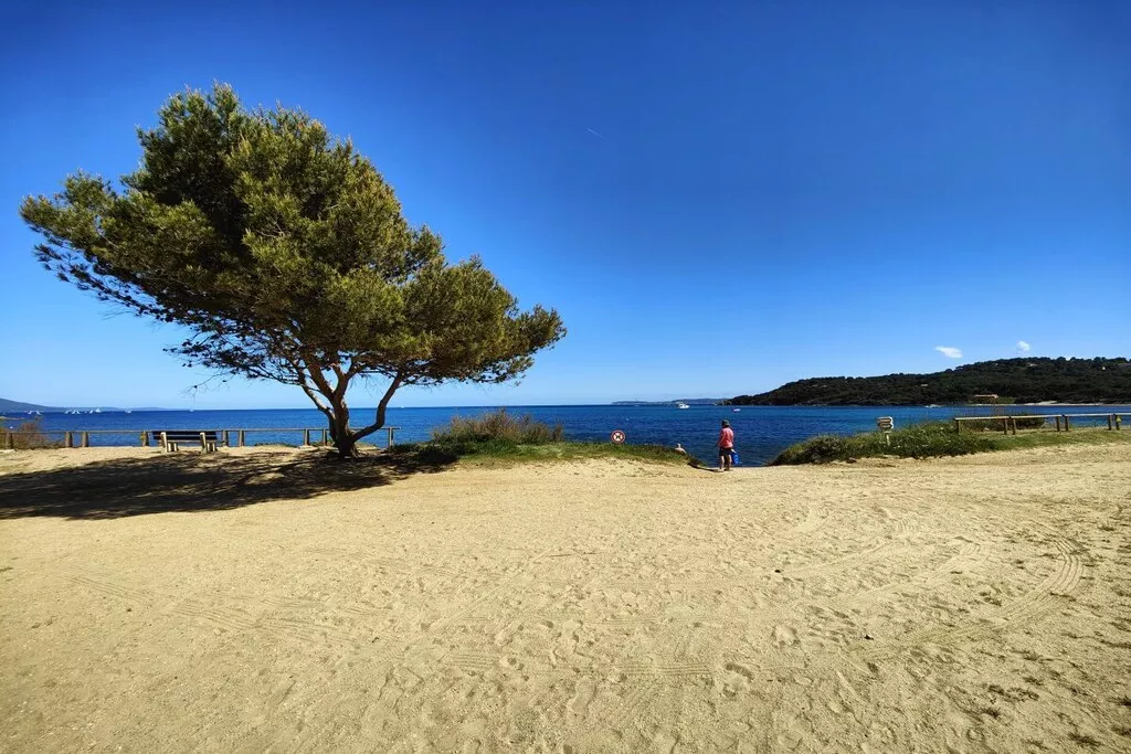 479778-Nicht zugeordnet