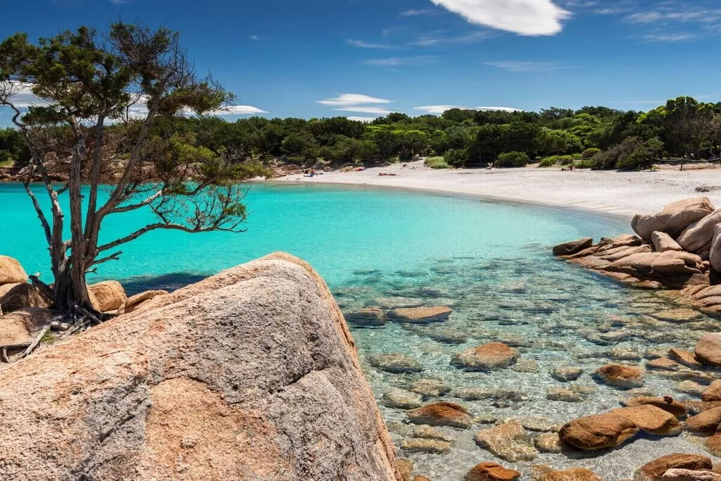 546259-Nicht zugeordnet