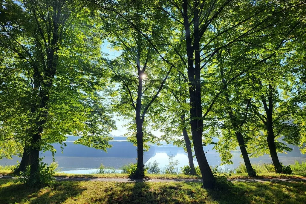 535510-Nicht zugeordnet