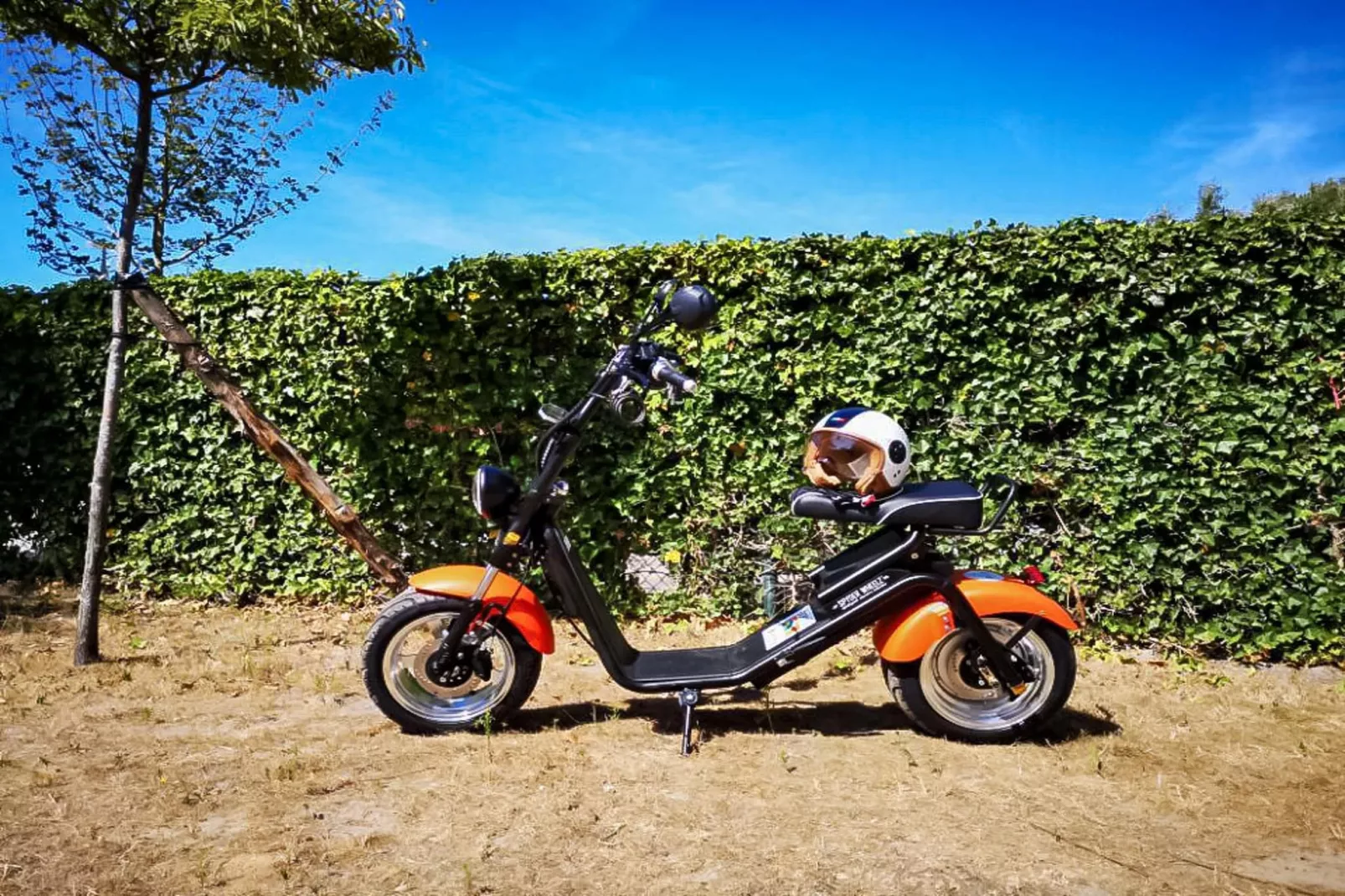 Berck sur Mer 12-Parkeinrichtungen