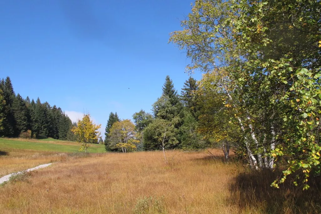 194679-Nicht zugeordnet