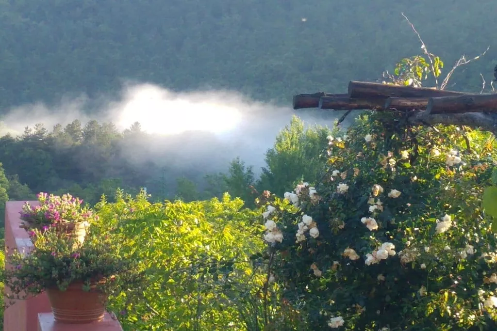 267882-Nicht zugeordnet