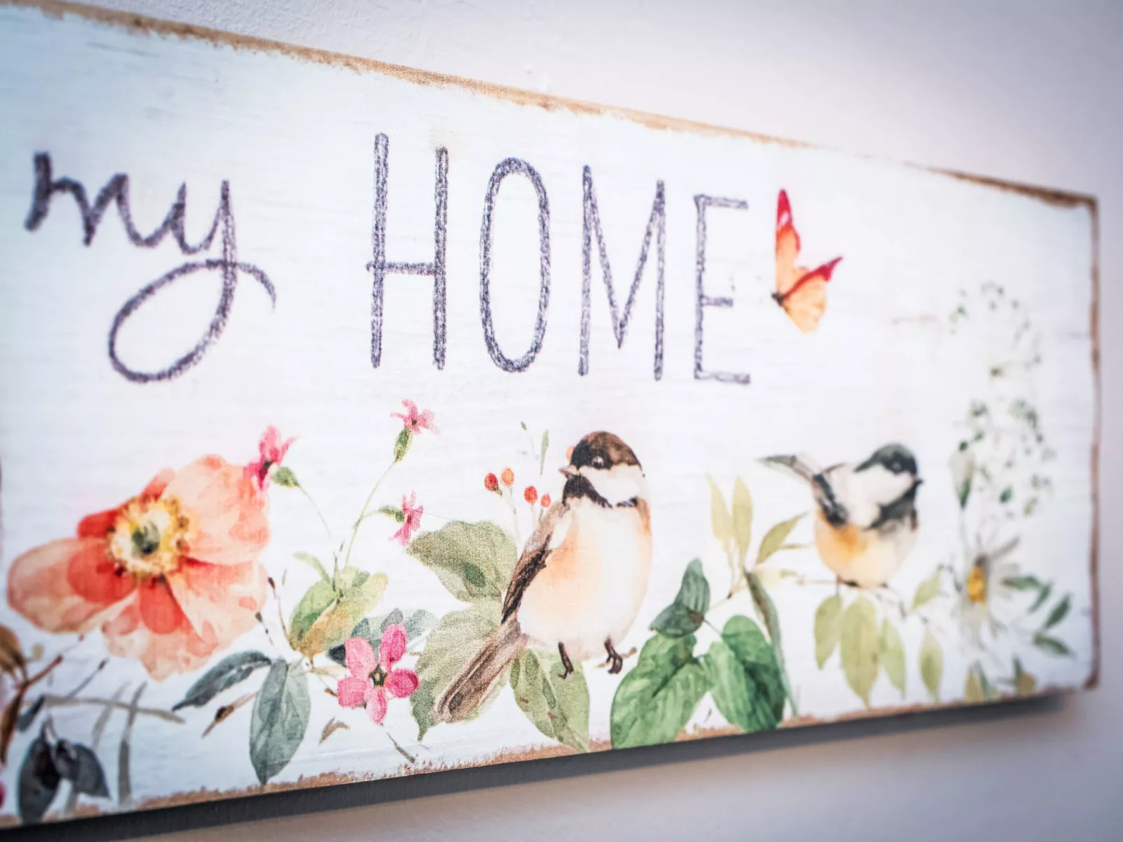 Highland Cottage-Dehors