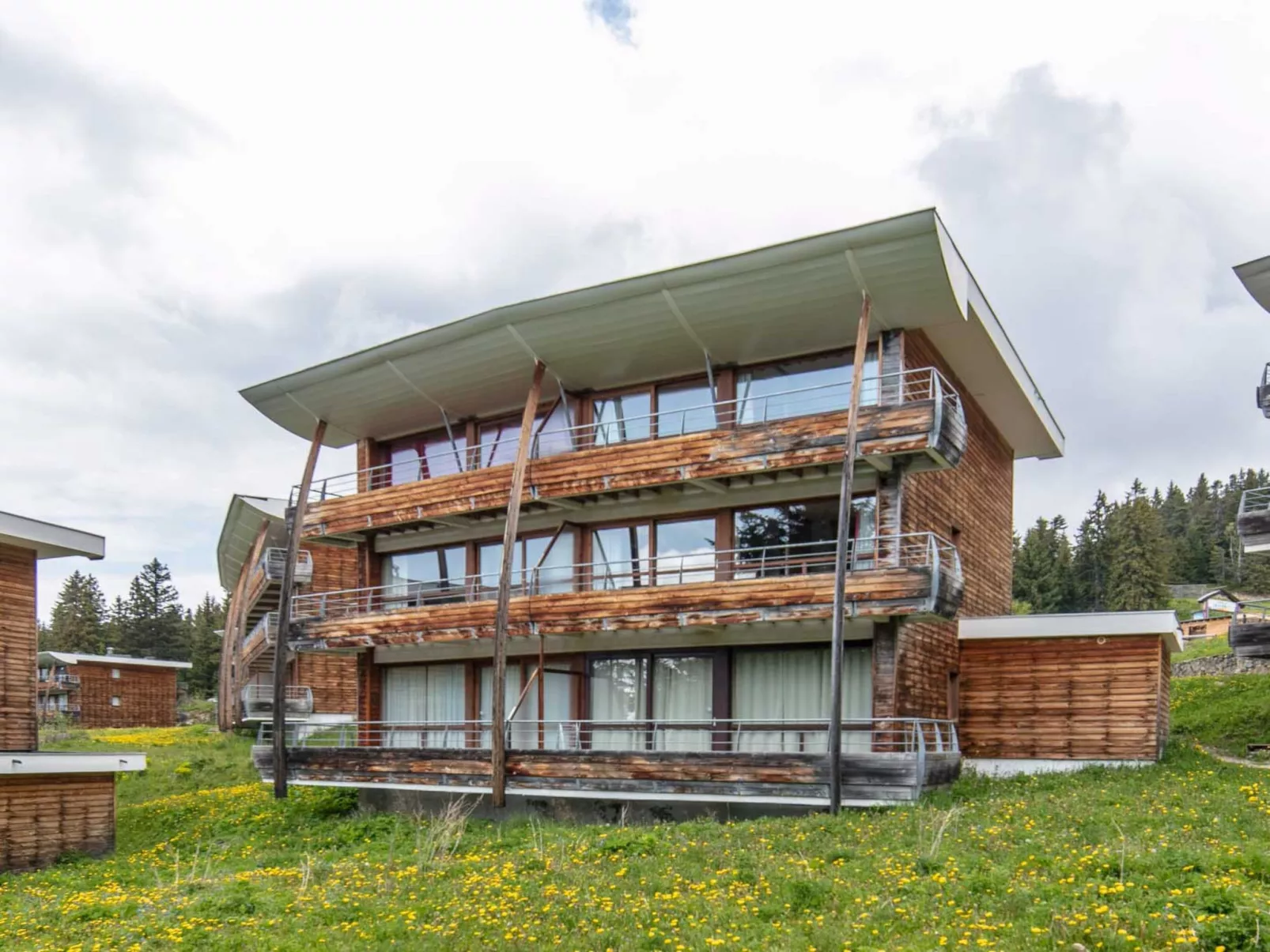 V du Bachat Asters B-Dehors