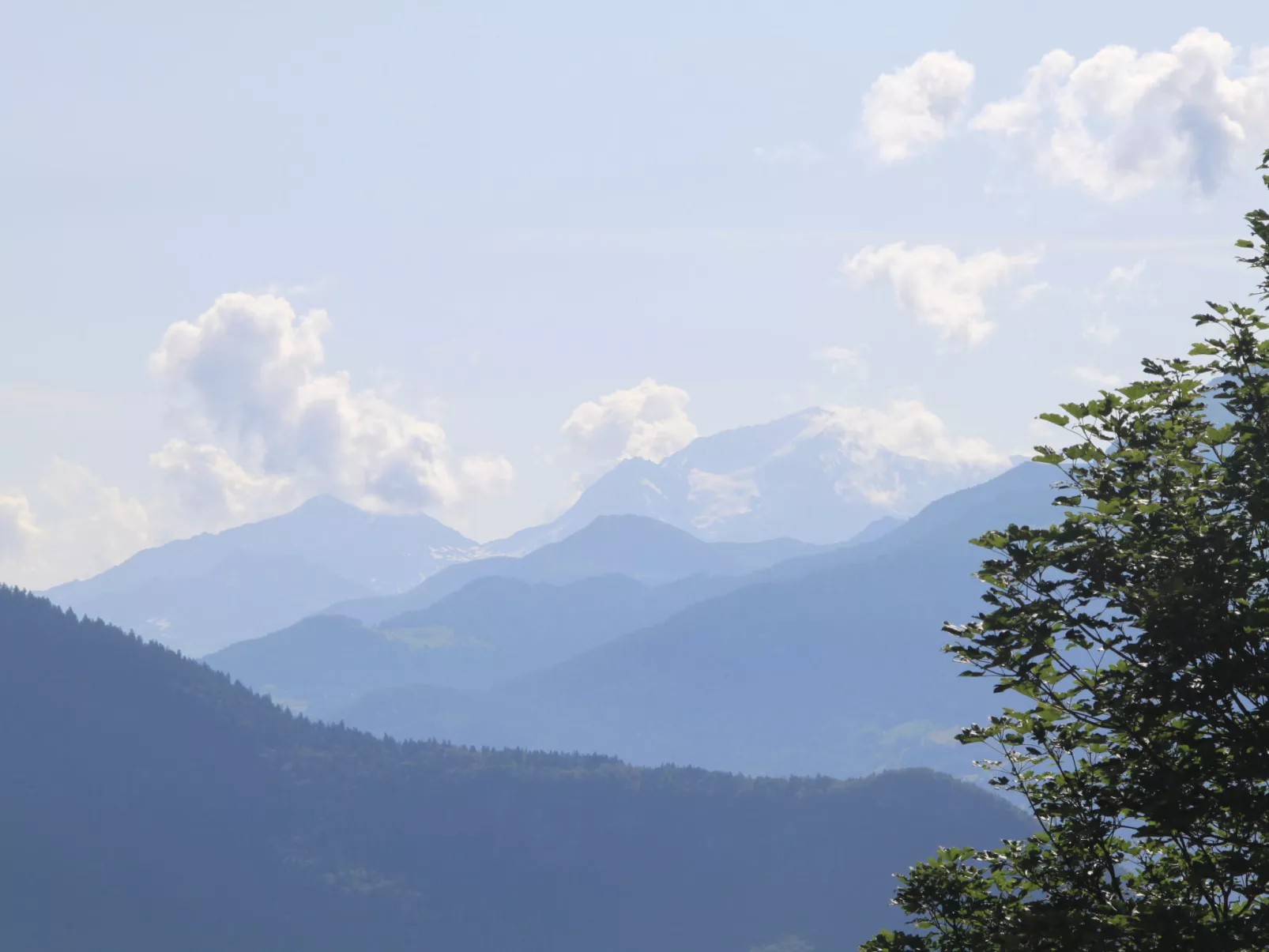 T du Morel A-Outside