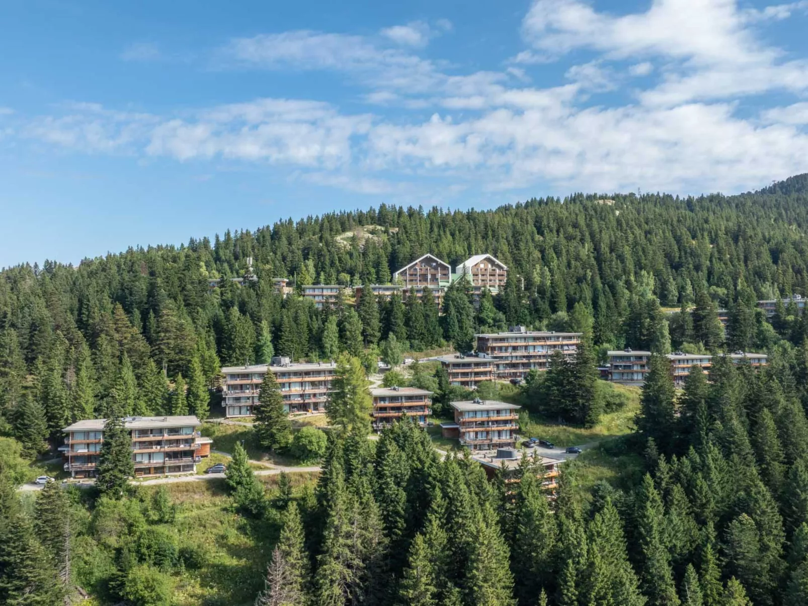 V du Bachat Melezes E-Inside