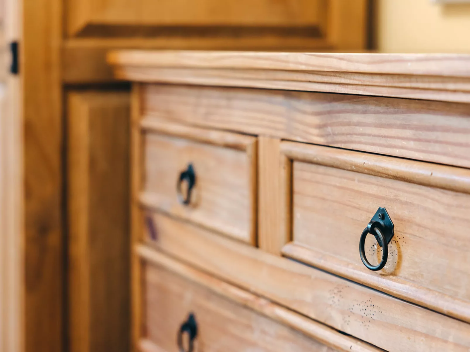 Netley Hall - Camelia-Inside