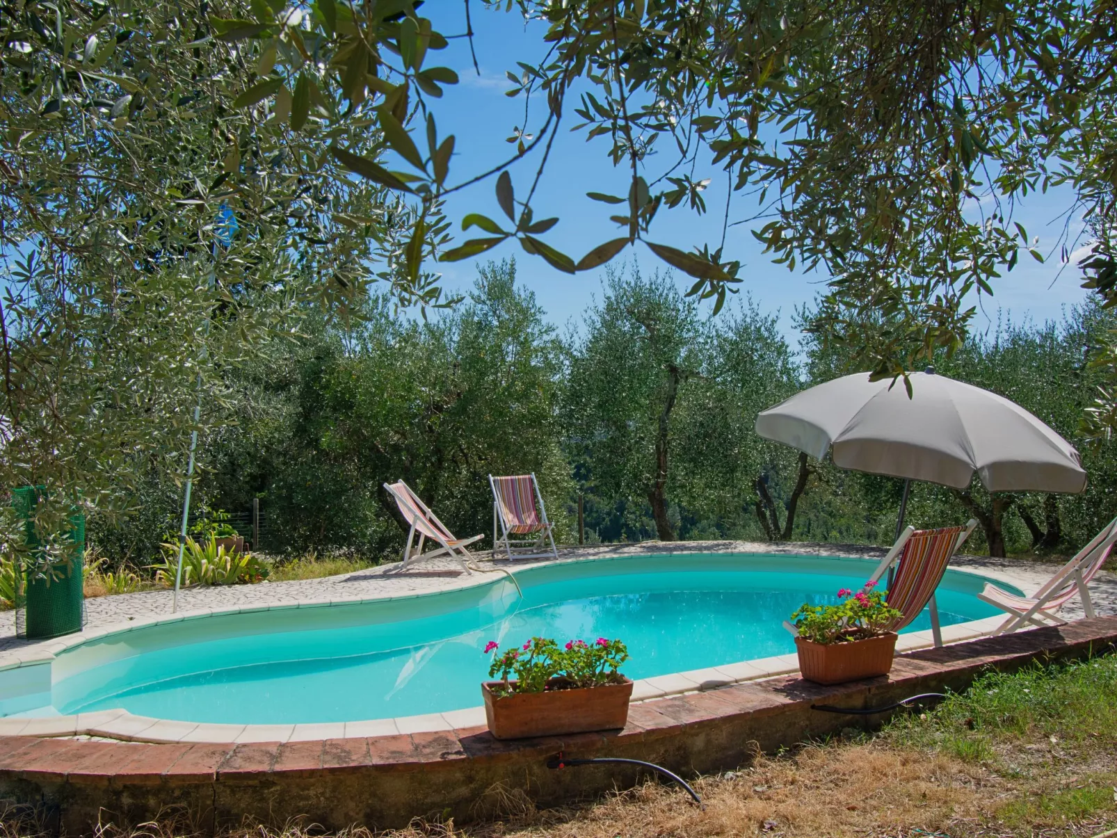 Villa Albertine-Outside