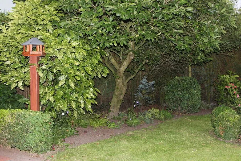 109045-Nicht zugeordnet