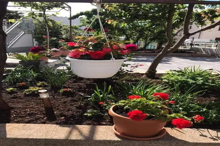 Apartments Villa Tanja - Two Bedroom Apartment with Terrace-Gardens in summer