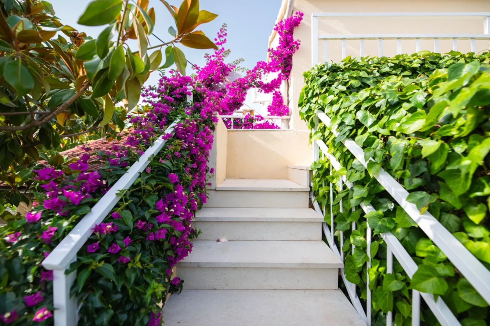 Studio Standard (A1)-Jardins en été