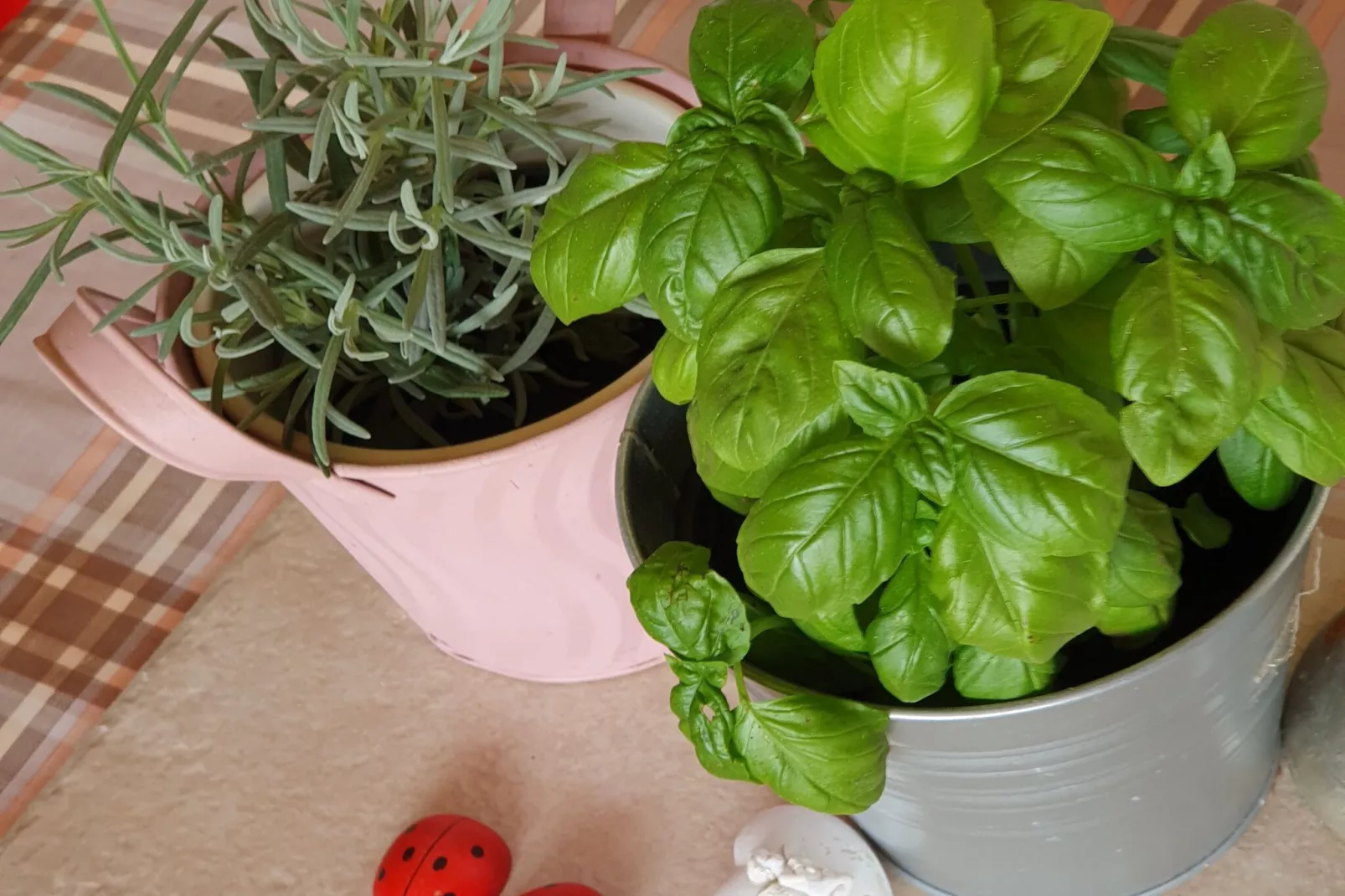 Viva Ve - Studio Apartment-Indoor