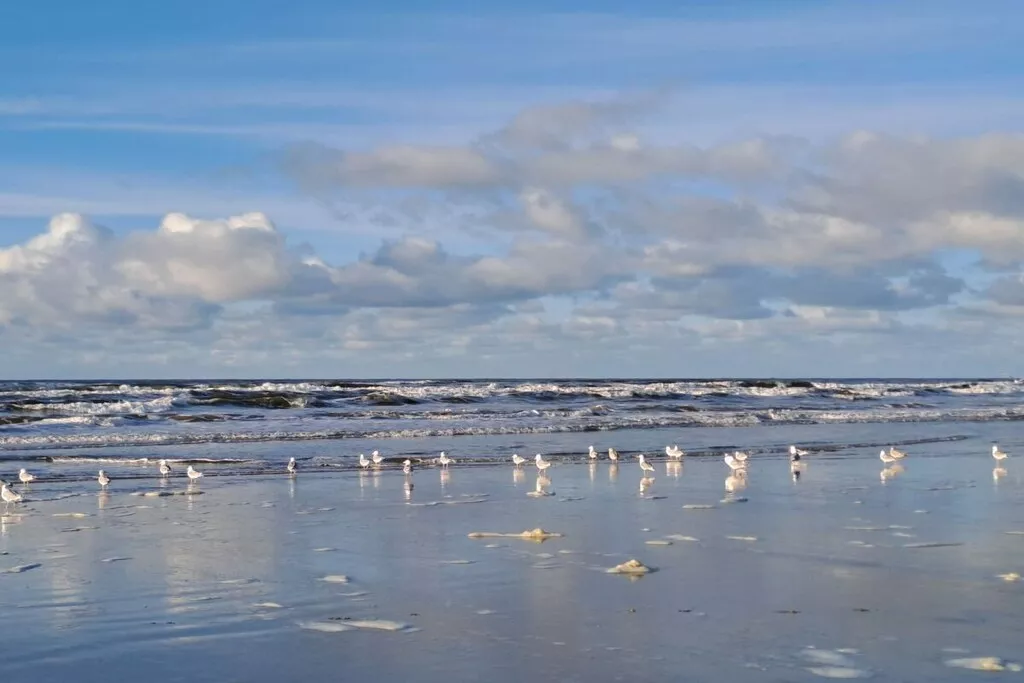 492472-Nicht zugeordnet