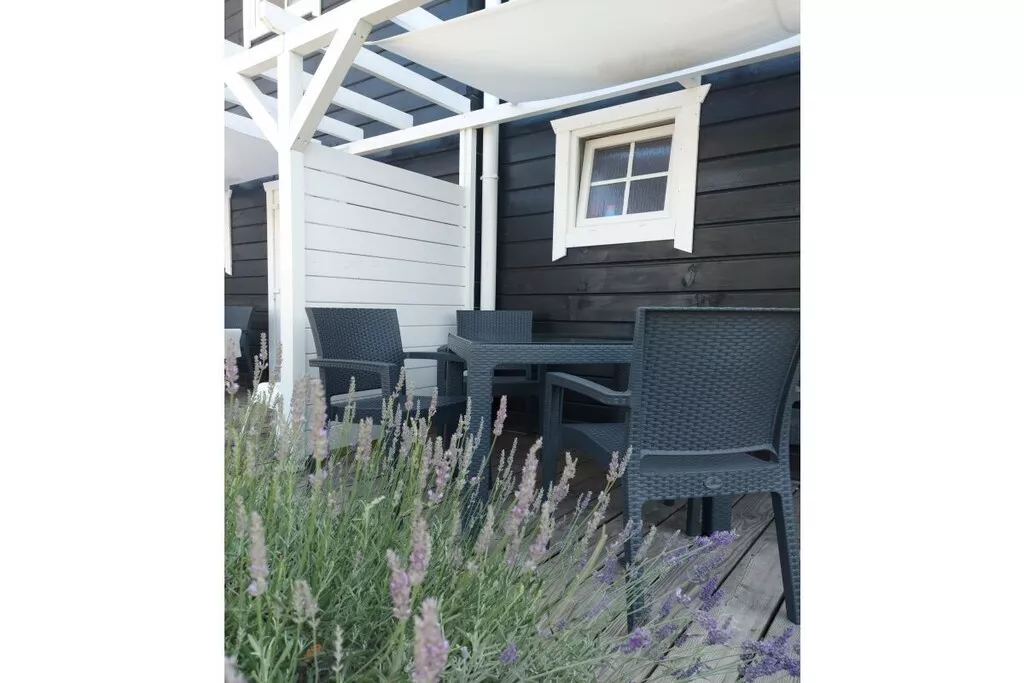 241695-Nicht zugeordnet