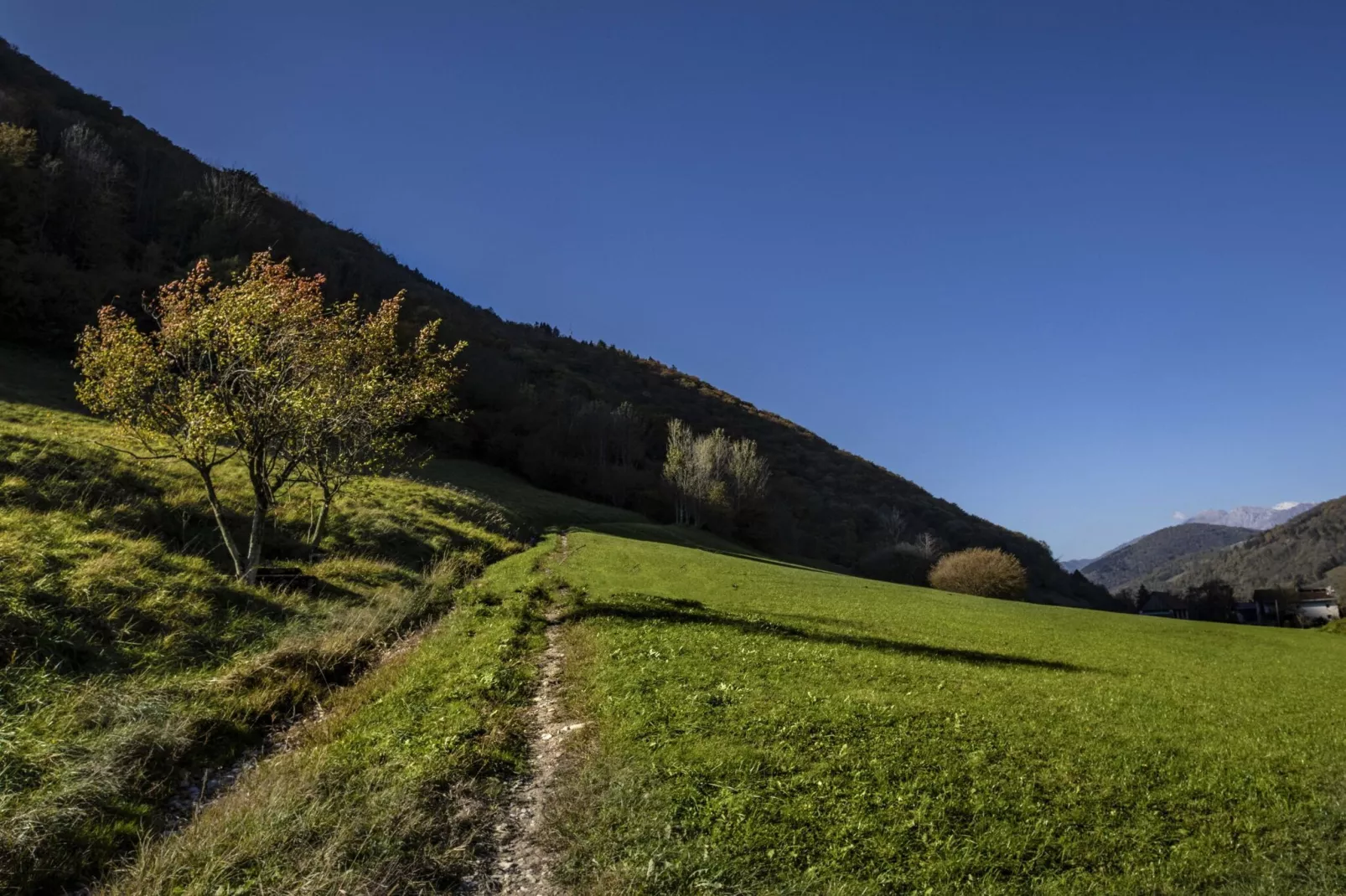 Riverside Rustic Ridge Apartments with Balcony - Three Bedroom Apartment with Balcony-View