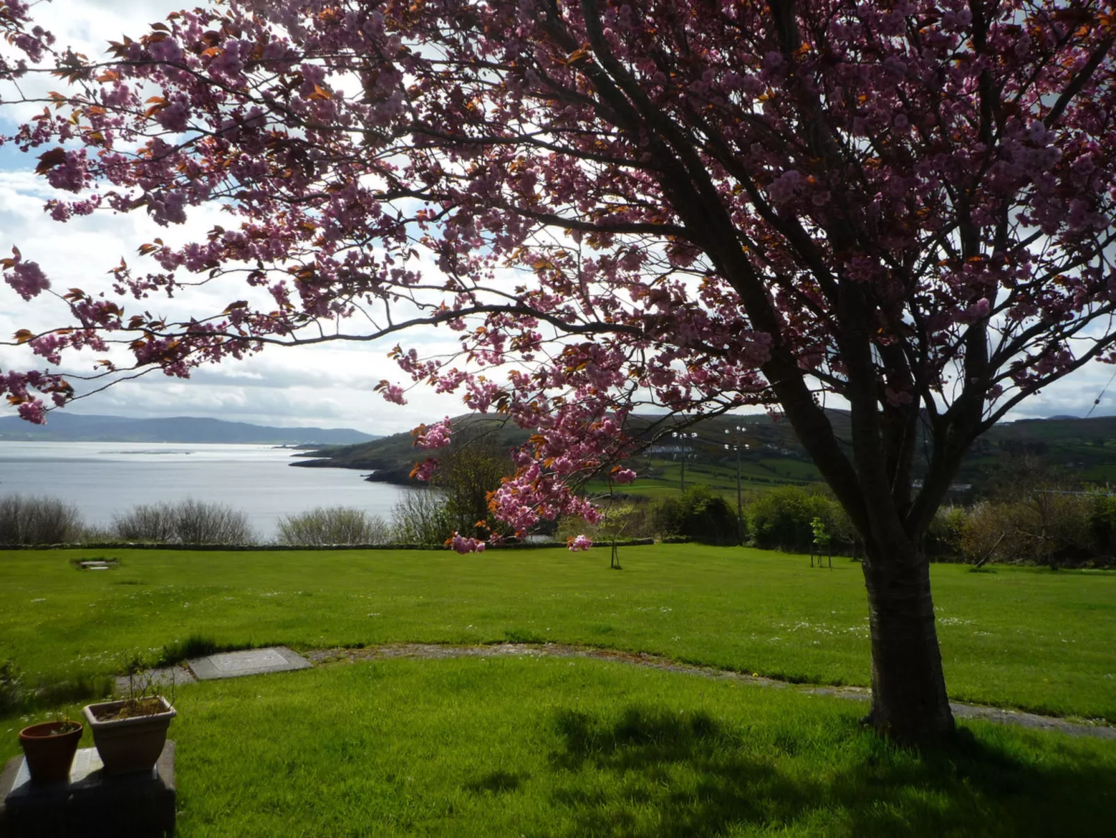 Anchor Cottage Portsalon-Dehors