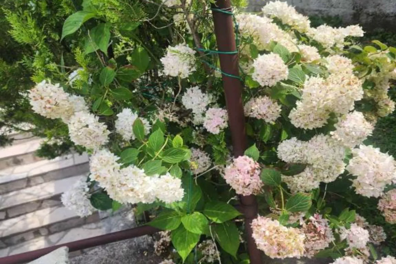 Deluxe City Escape with Modern Comforts & Garage - Double Room-Im Freien