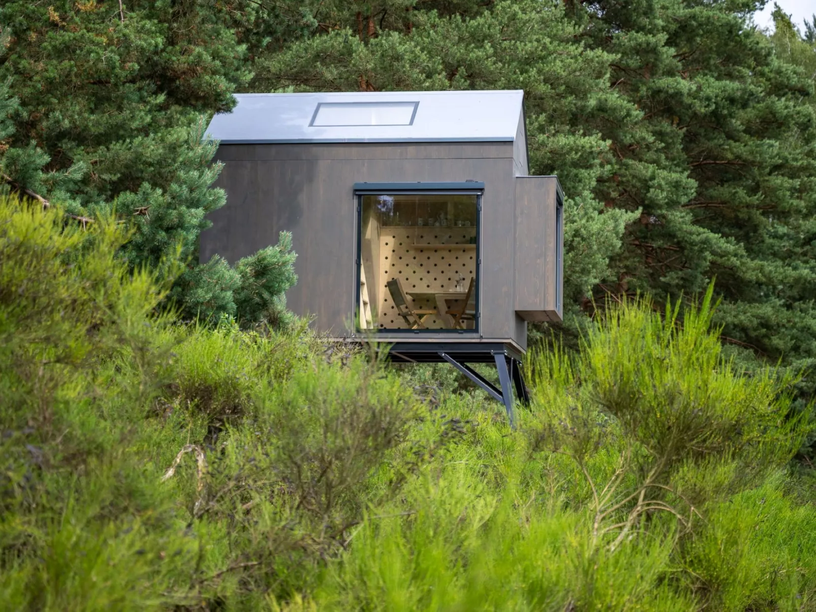 Glamping Sokolka-Draußen