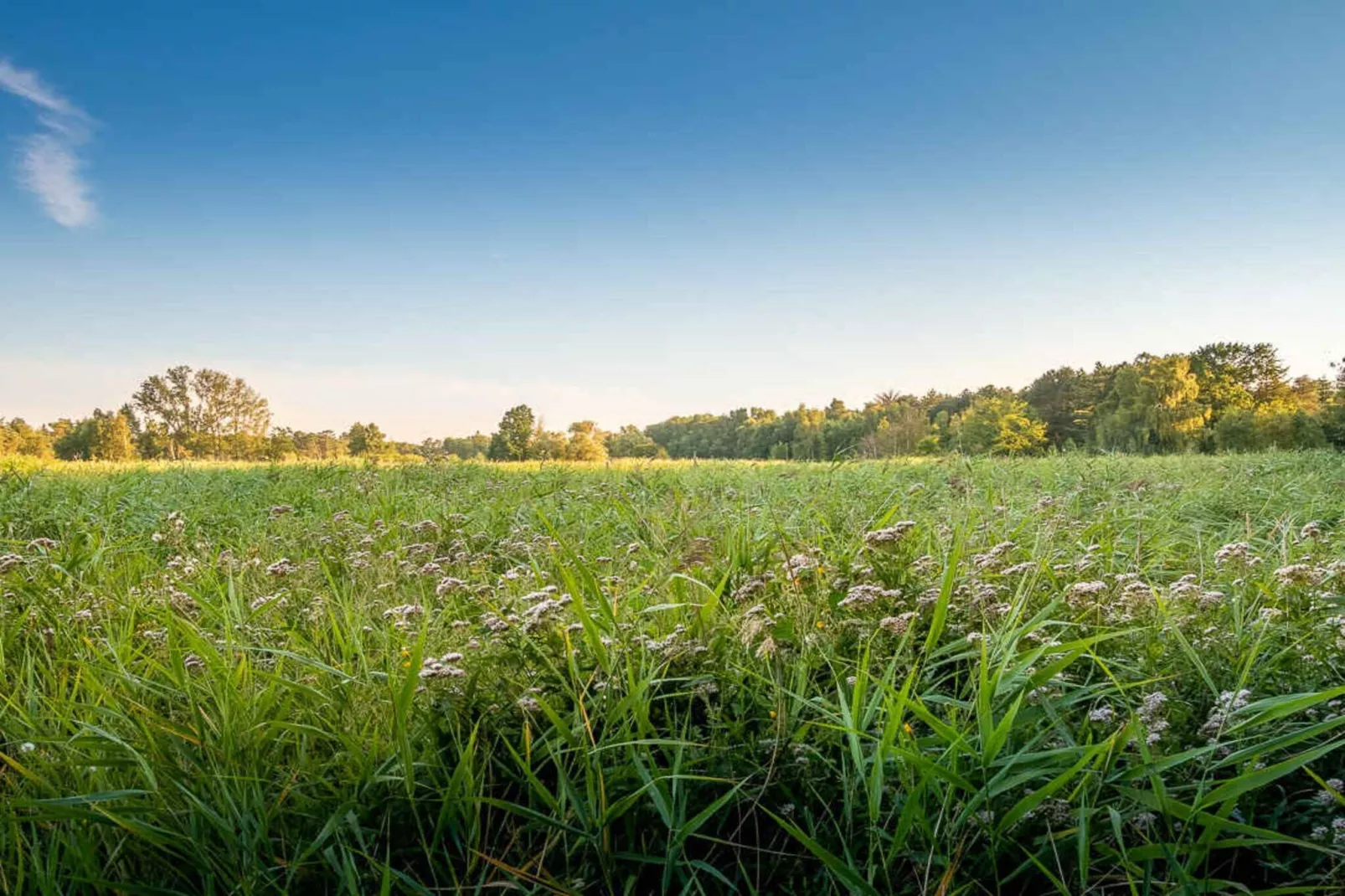 5 star holiday home in Store Fuglede-Water view