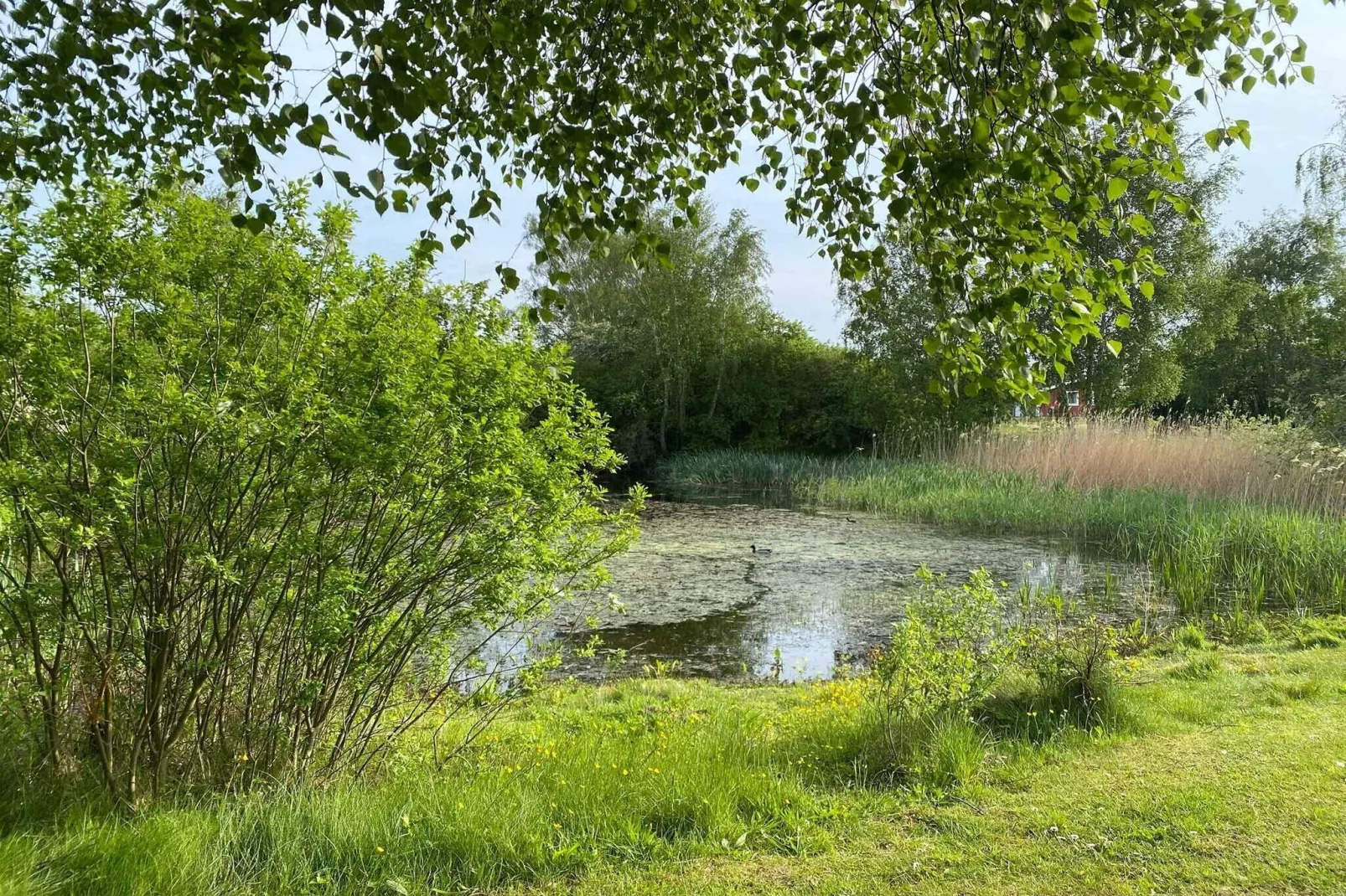 5 star holiday home in Karrebæksminde-Outdoor