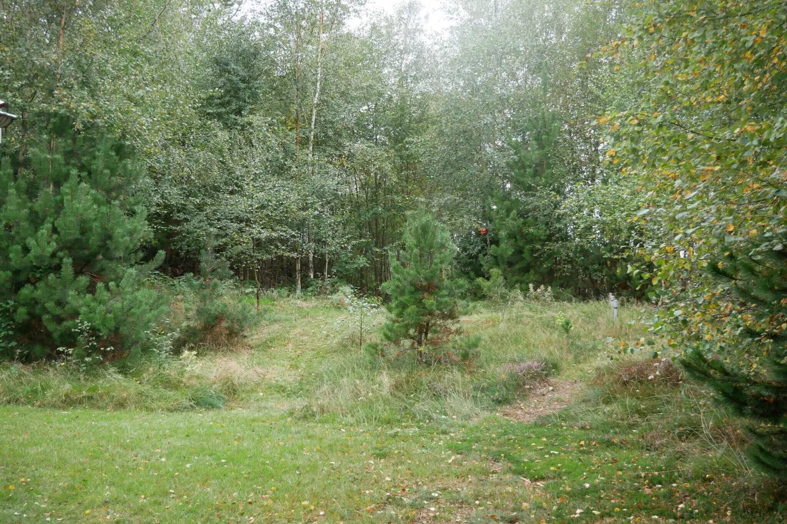 5 Sterne Ferienhaus in Sæby-Im Freien