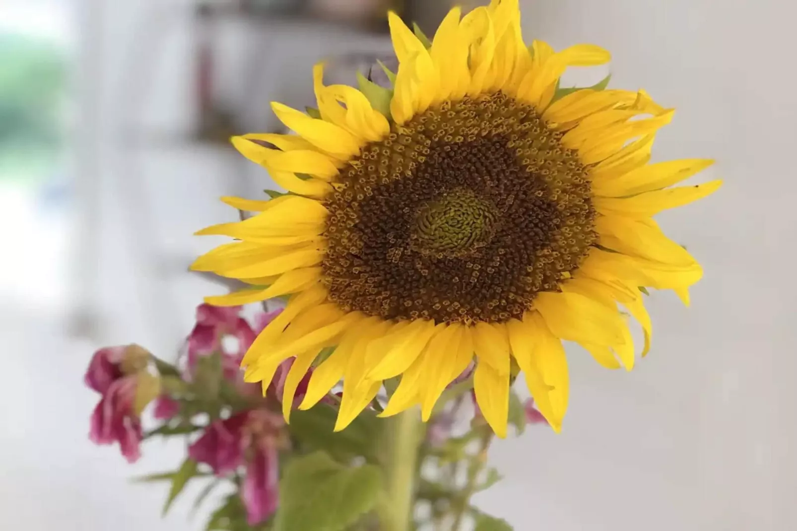 5 star holiday home in Assens-Outdoor