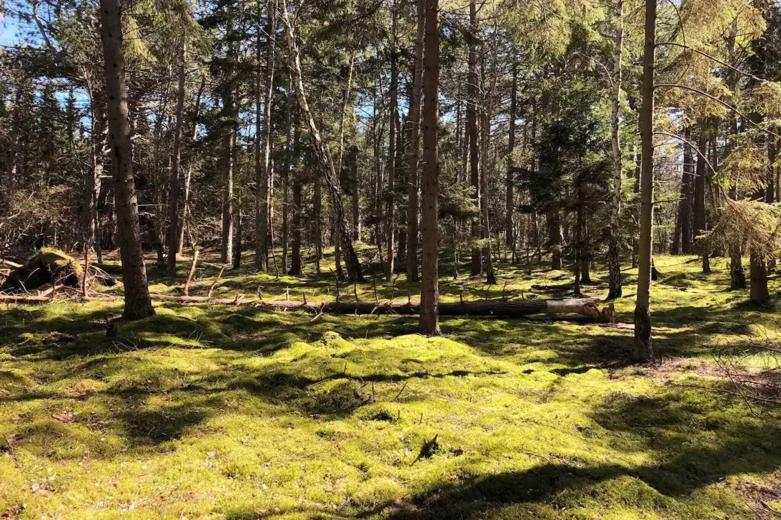 5 etoiles maison de vacances a Nykøbing Sj-Extérieur