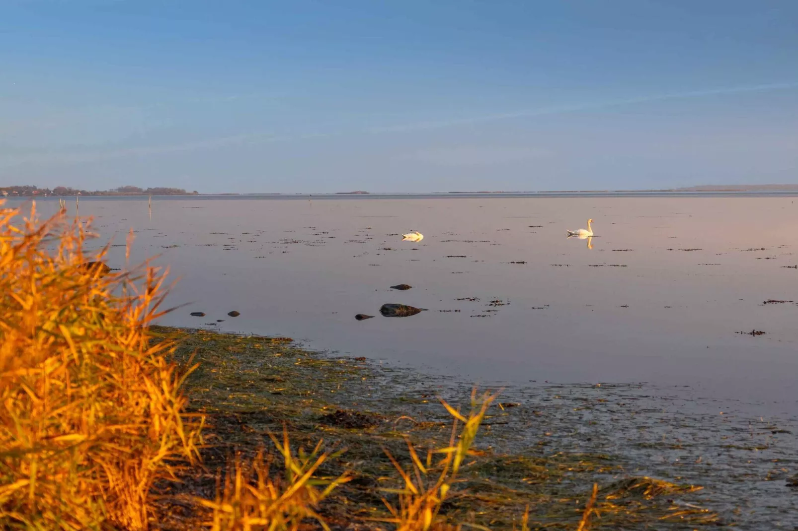 5 star holiday home in Kalvehave-Water view