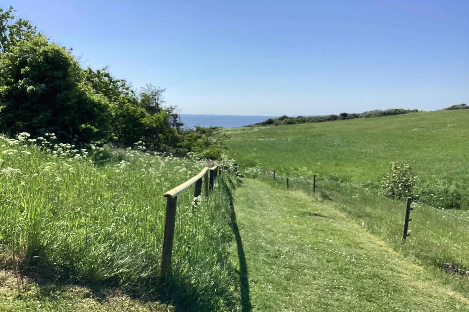 5 star holiday home in Spøttrup-Outdoor