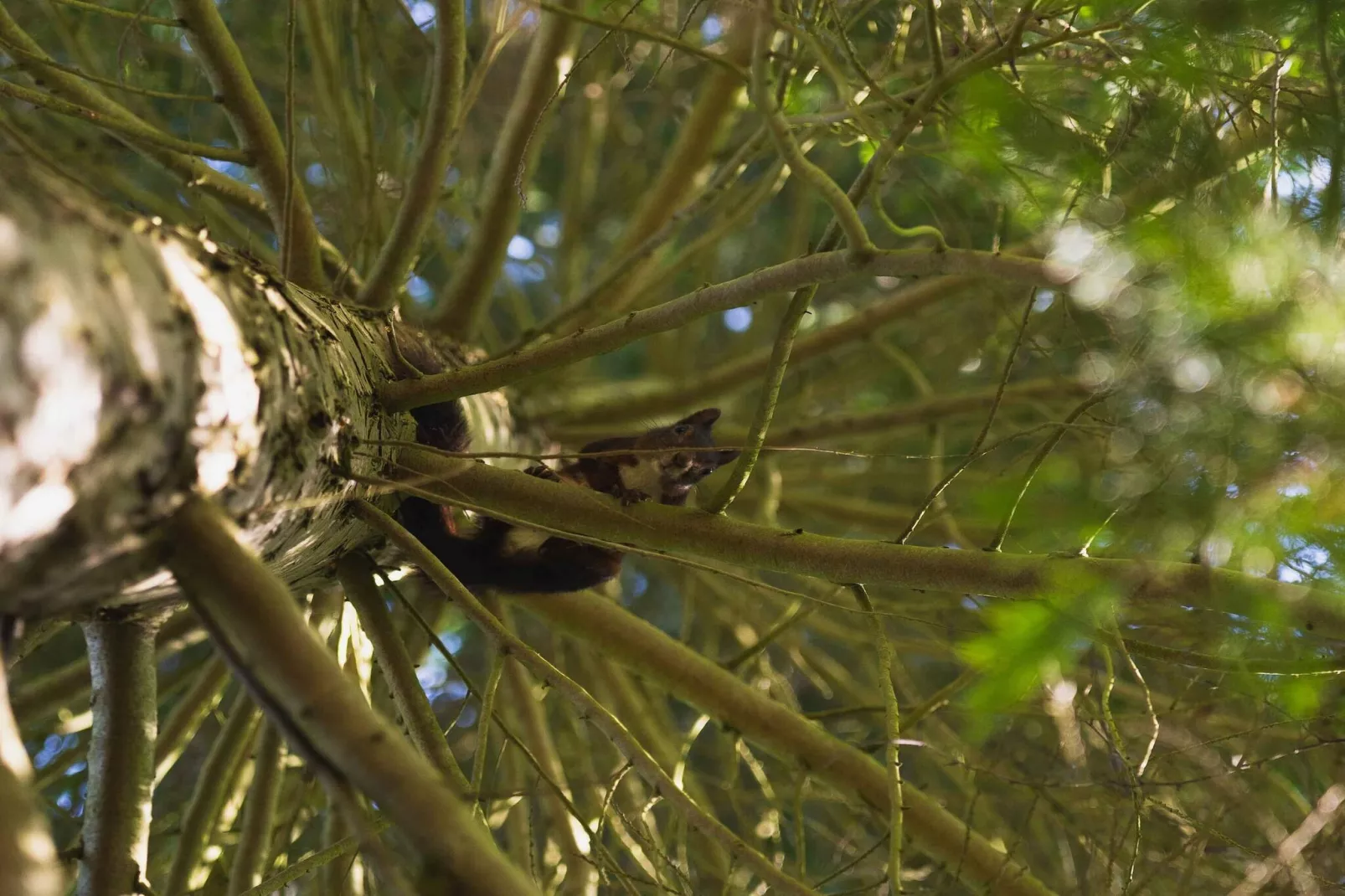 5 star holiday home in Gørlev