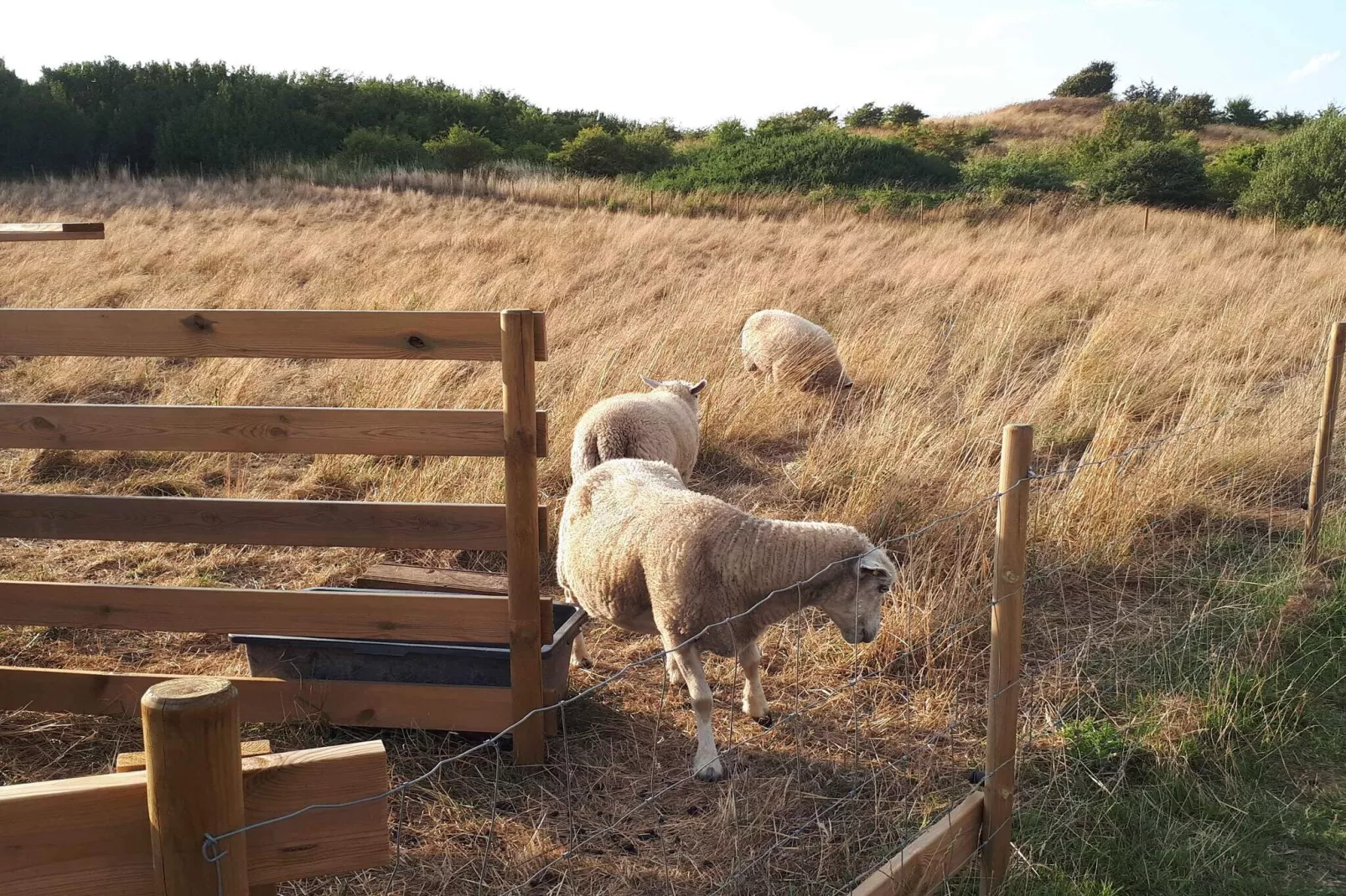 5 star holiday home in Humble-Outdoor