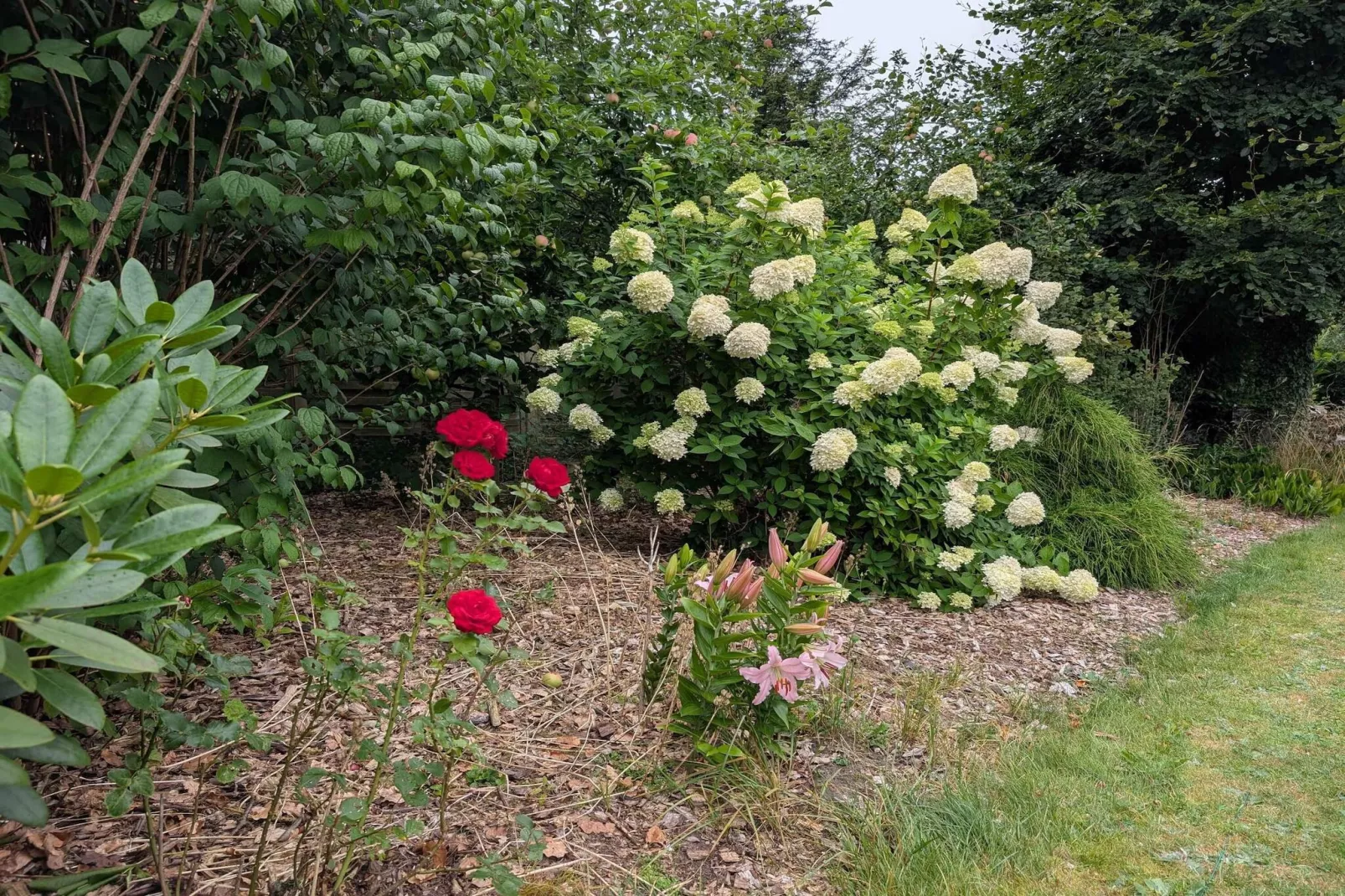 4 star holiday home in Løgstør-Outdoor