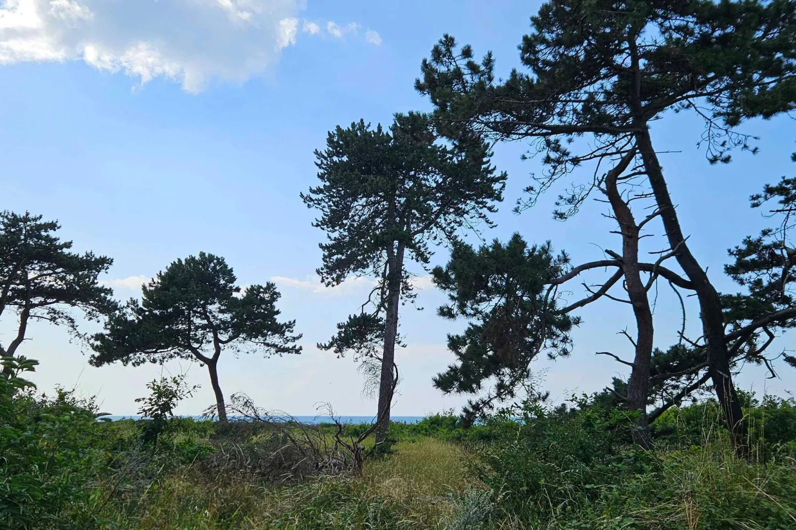 4 etoiles maison de vacances a Asnæs-Extérieur