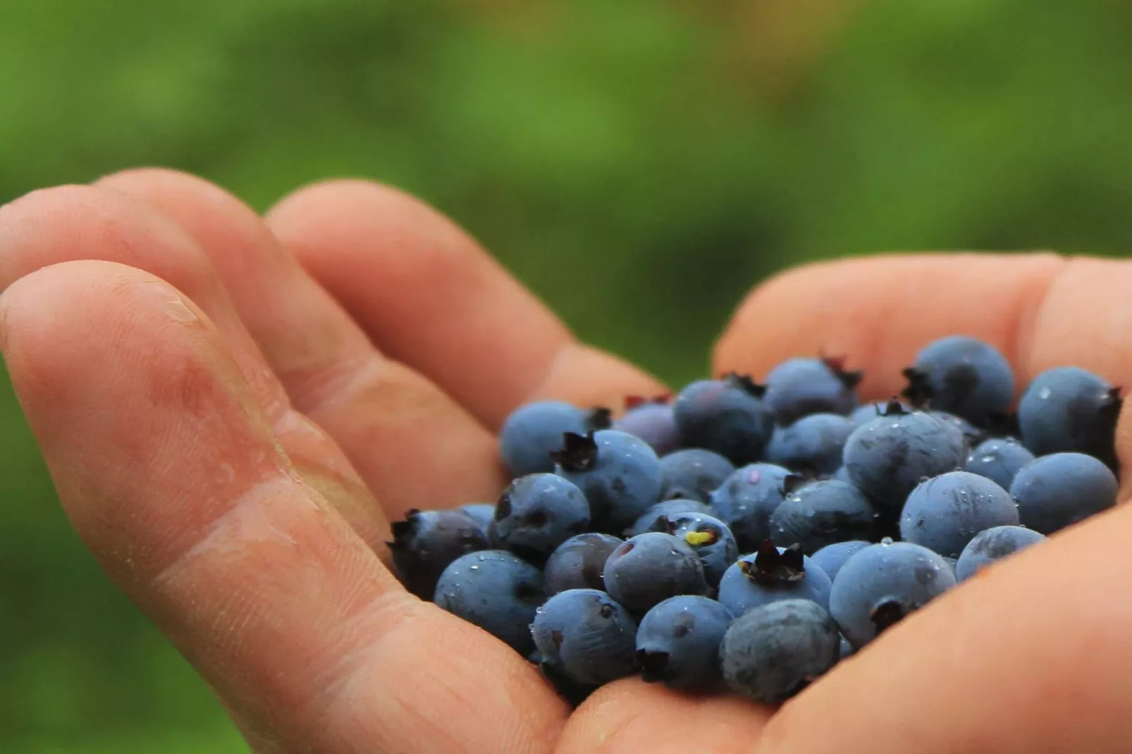 Retraite familiale à Dalsland, en Suède-Non tagué