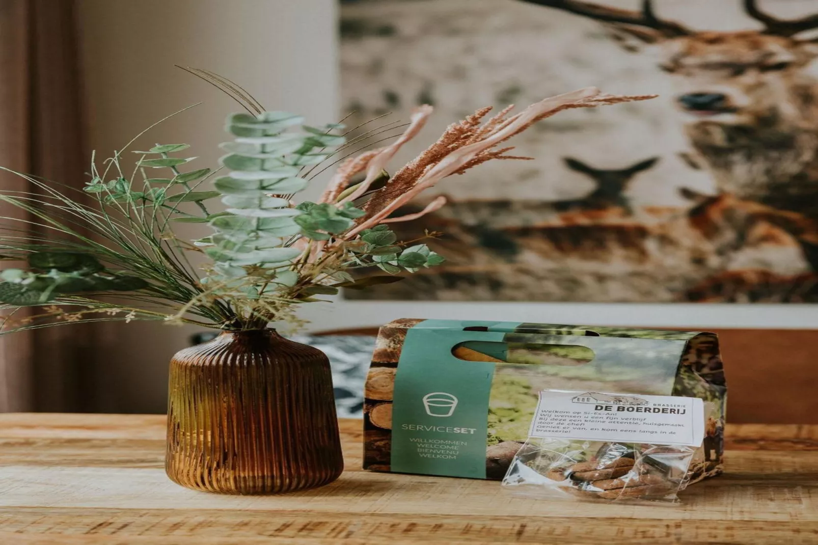 Tiny house XL | 2-4 persoons-Ambiance