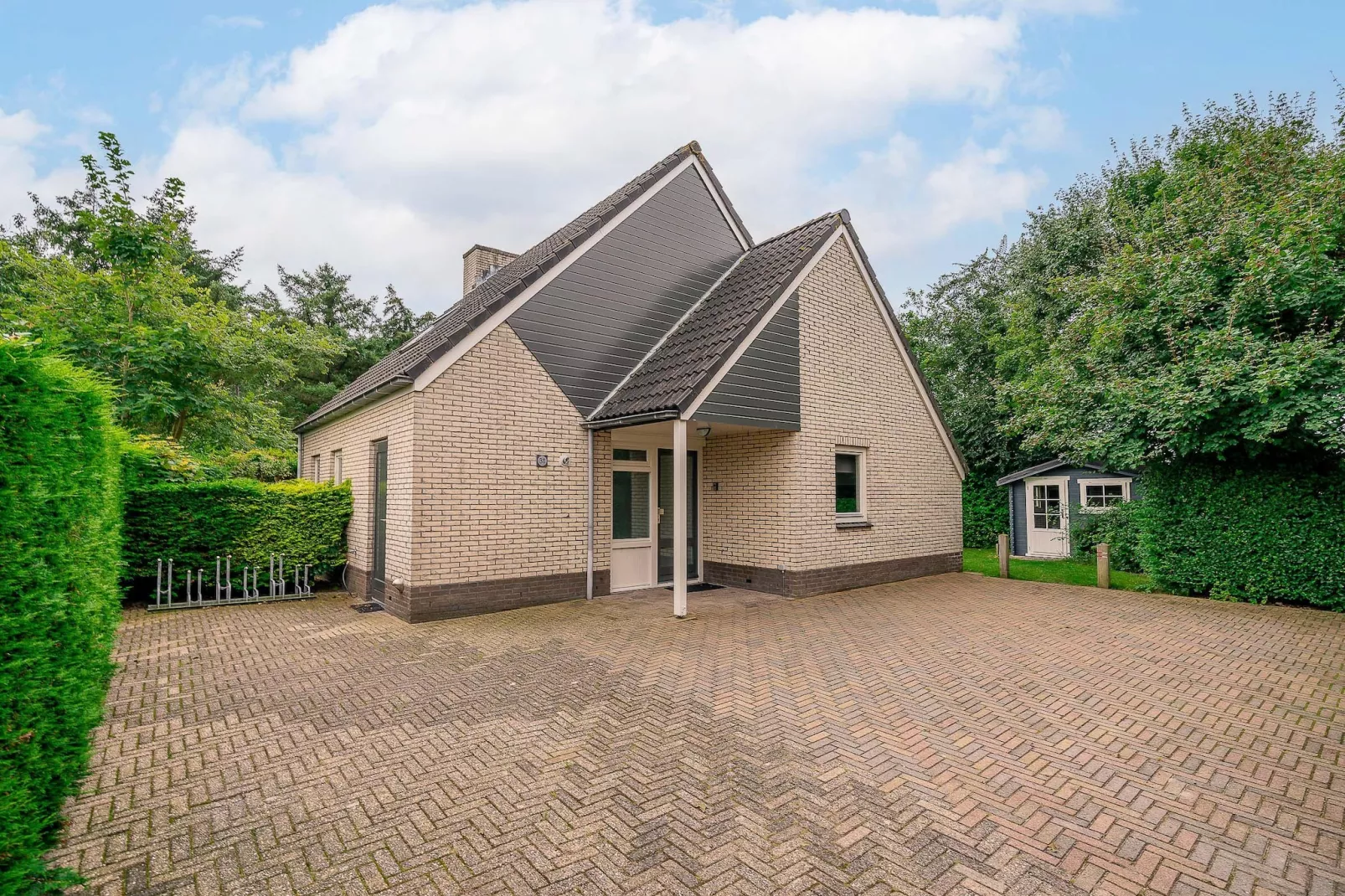 Kamperfoelie 31-Extérieur été