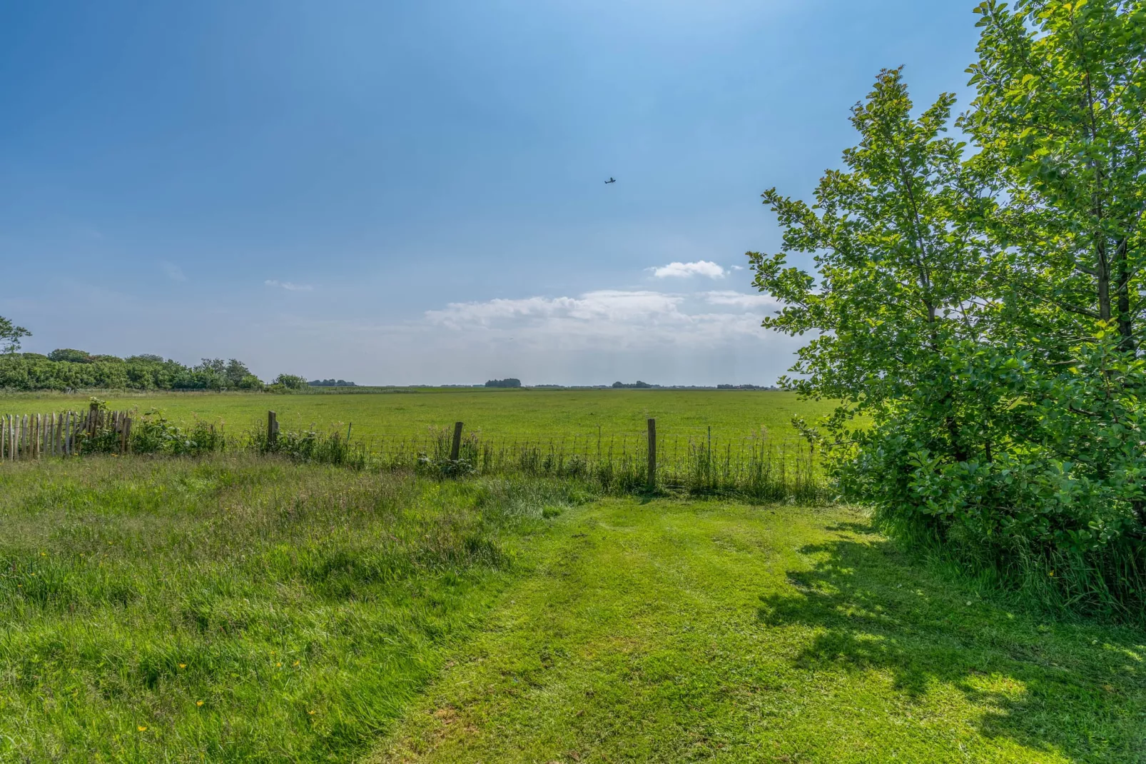Postweg 50-Jardins en été