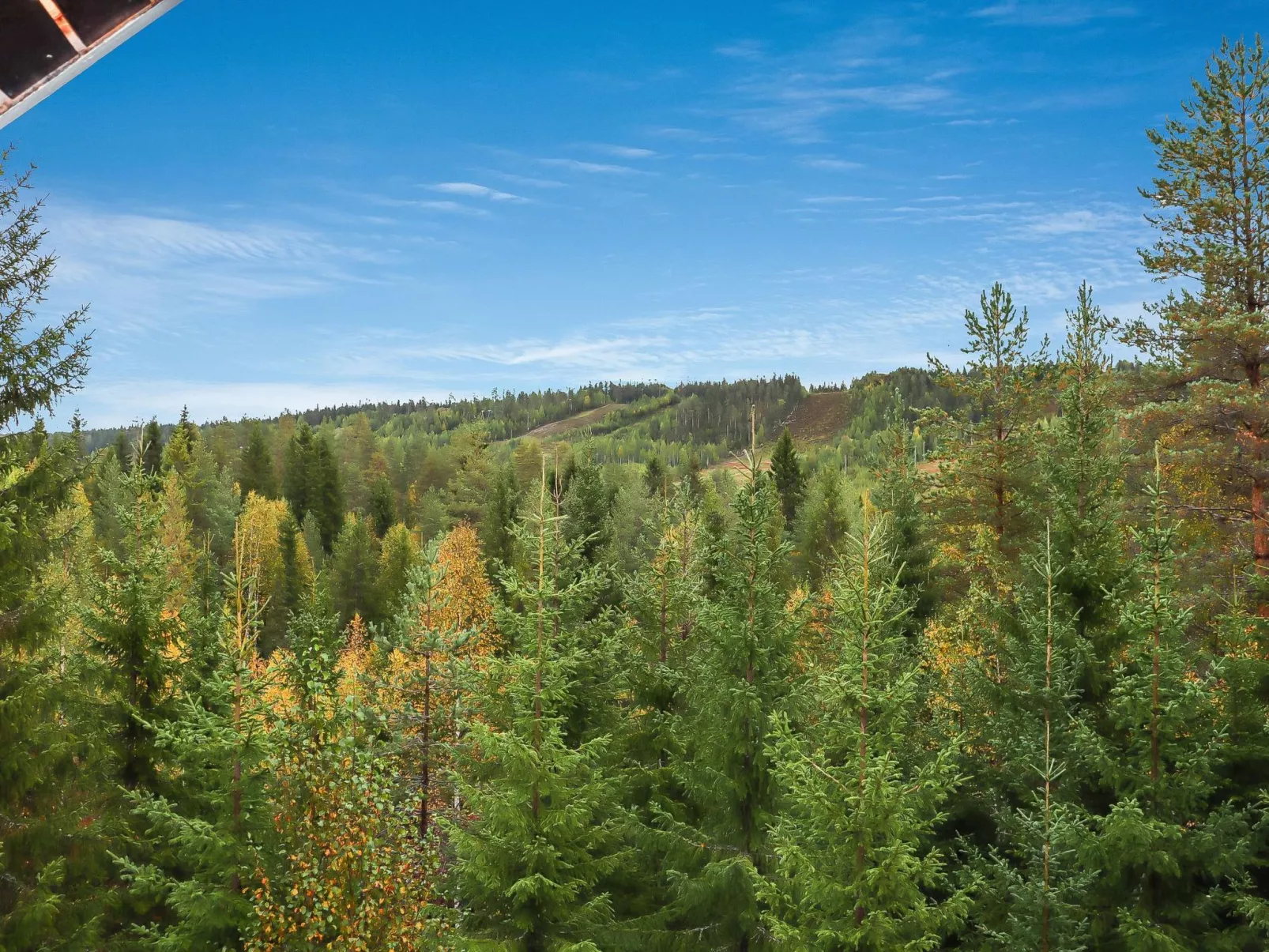 Lampitaival 5-Dedans