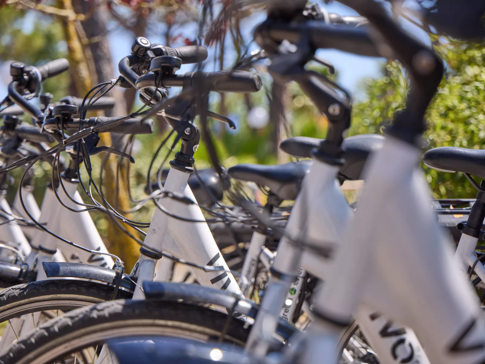 Costa D'Argento-Inside