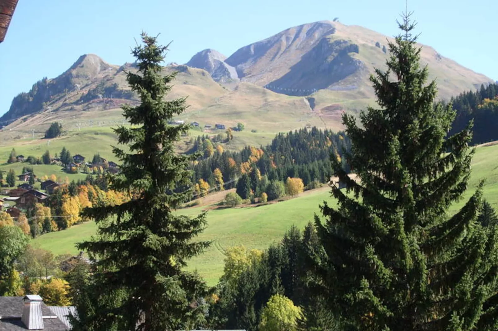 Résidence Fleur Des Alpes N° 8 - Non tagué