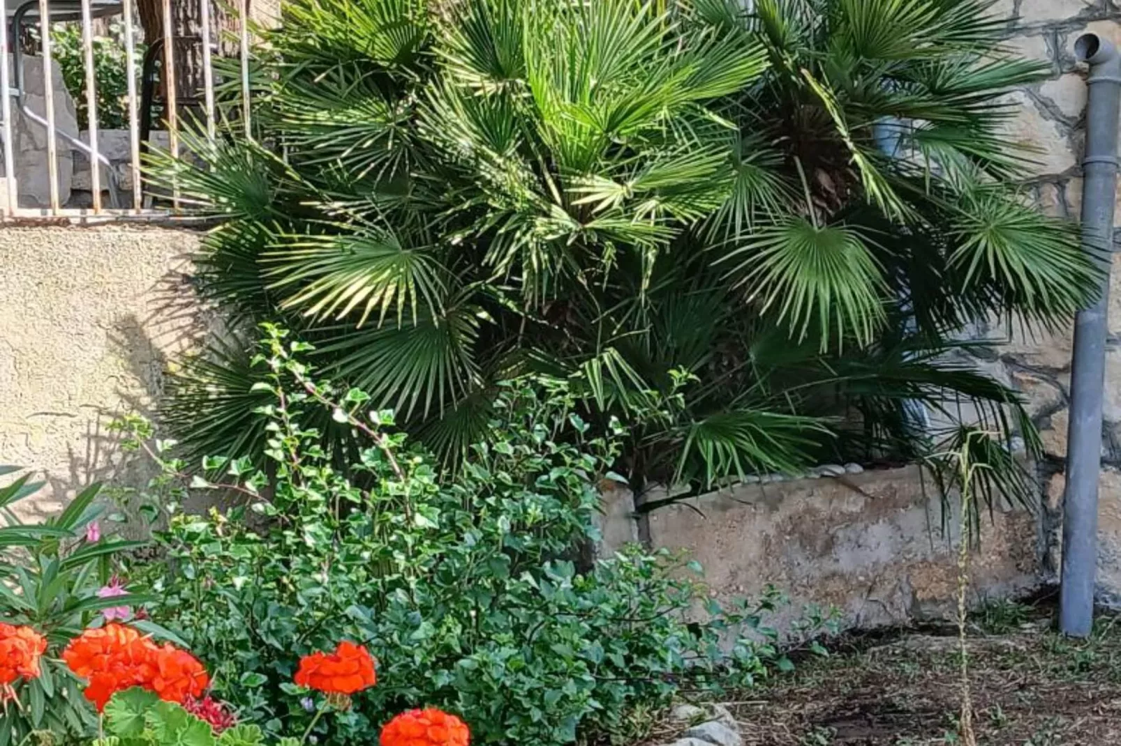 Apartmani Green Oasis - Studio Apartment with Terrace and Sea View-Outdoor