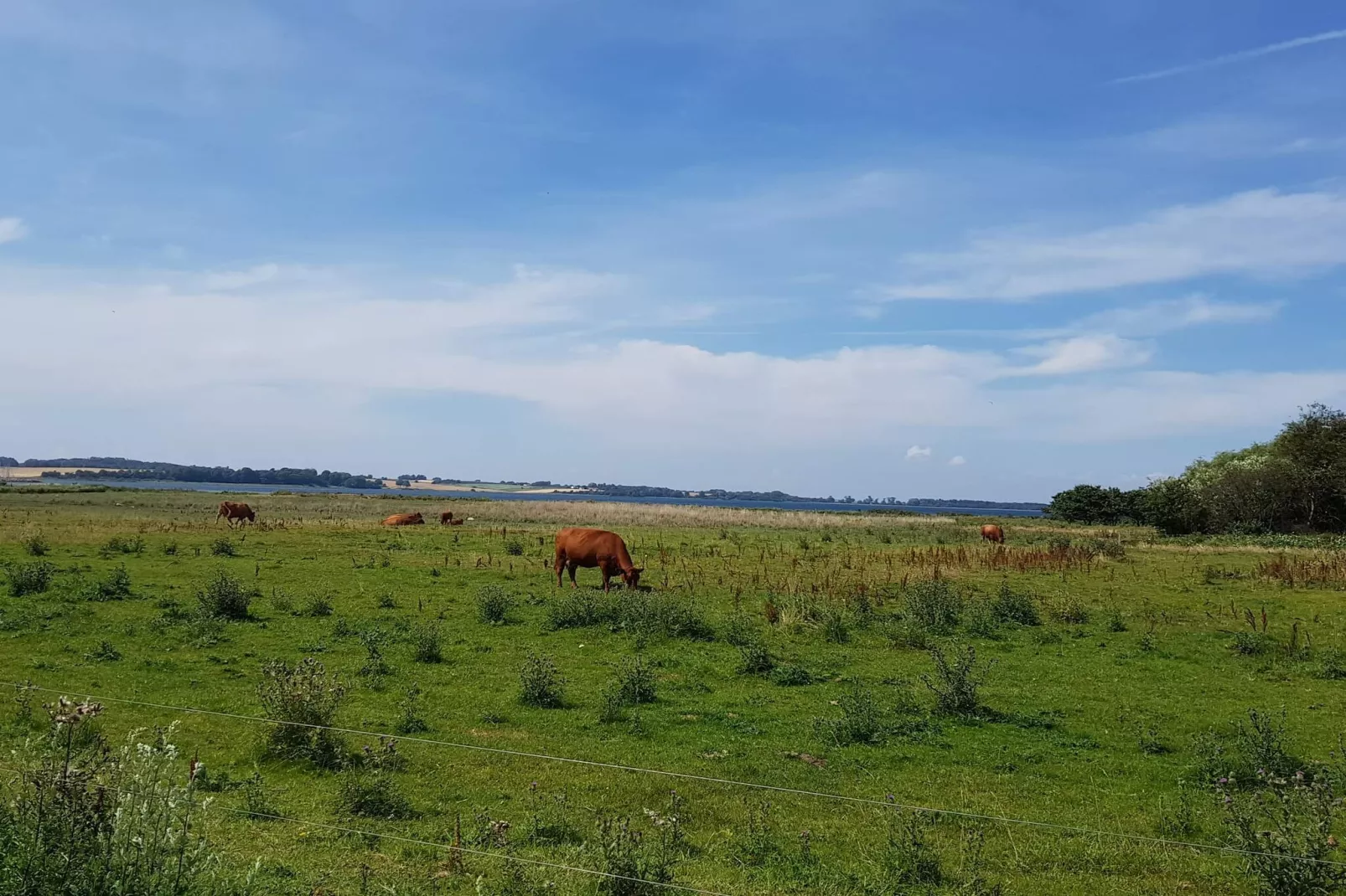 Meeresruhe am Fuglsovig-By Traum-Wasserblick