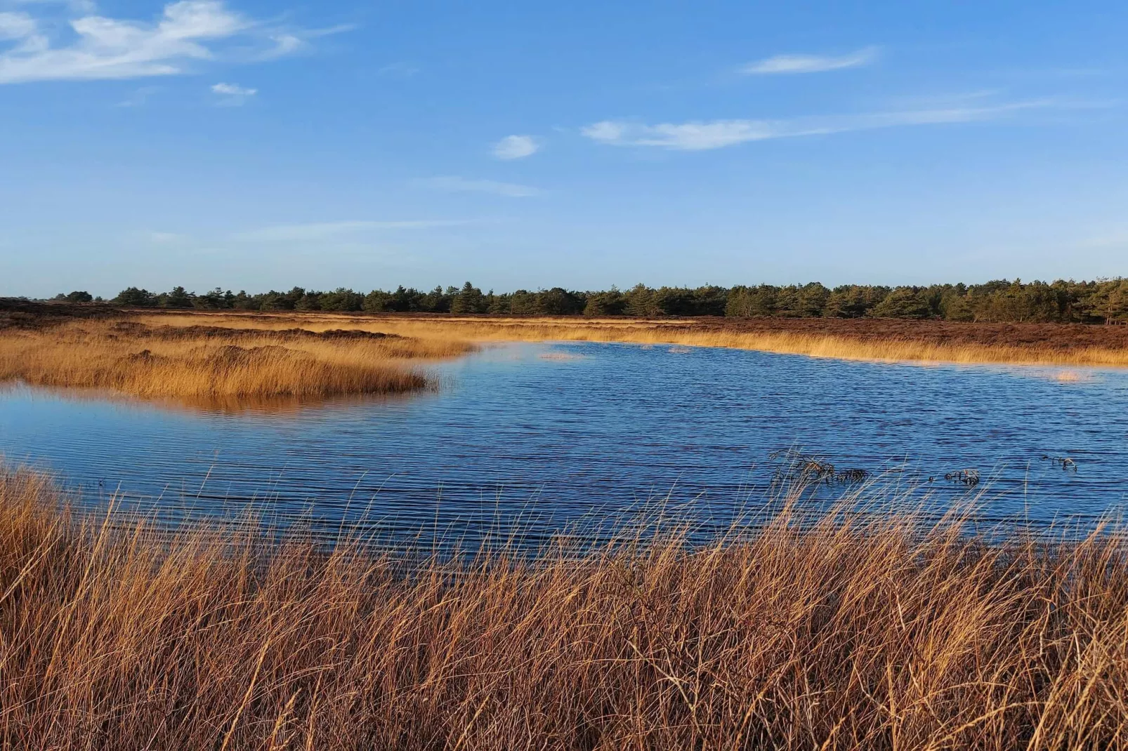 Cottage paisible avec chaume a Romo-By Traum