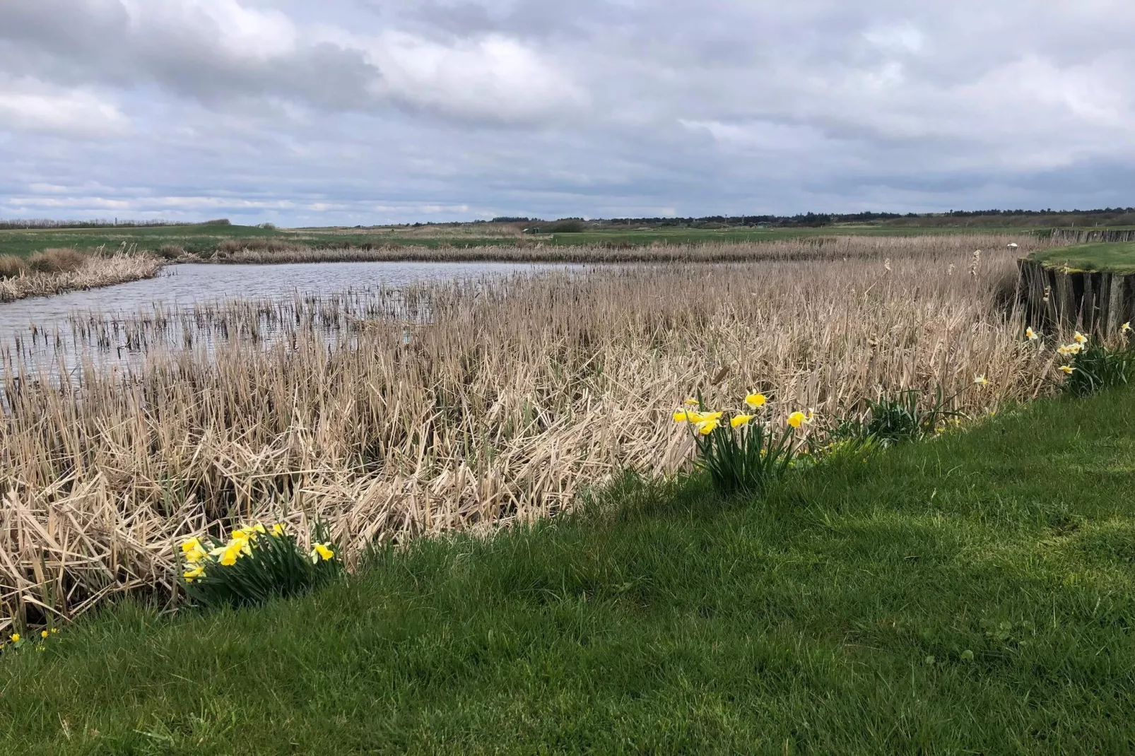 Maison de vacances pour 6 a Ringkøbing-Vue sur l'eau