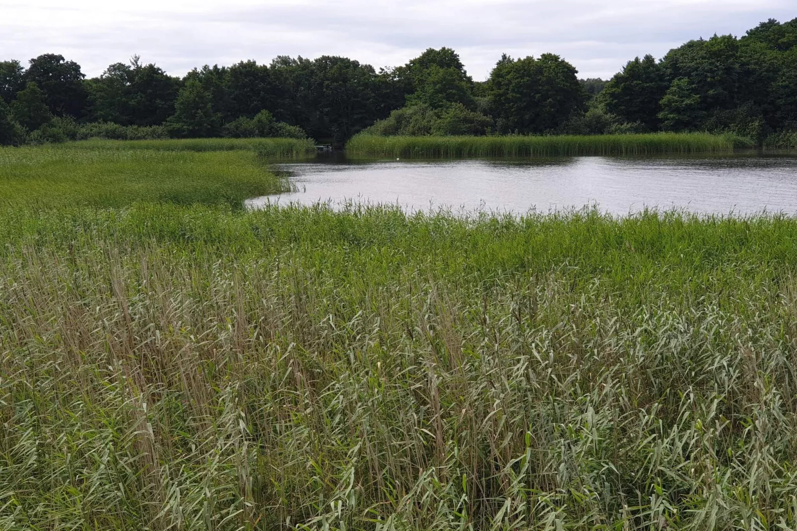 8 Personen Ferienhaus in Ebeltoft-Wasserblick
