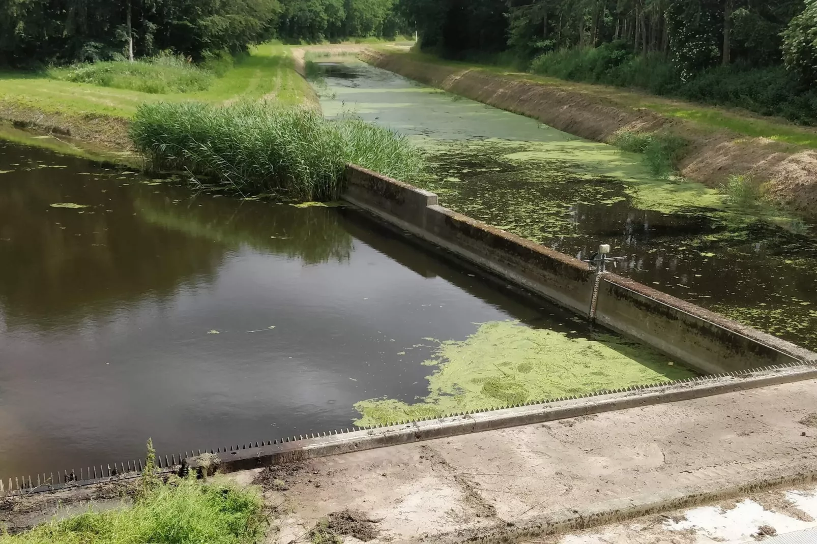 Oasis Moderne a Marielyst-By Traum-Vue sur l'eau