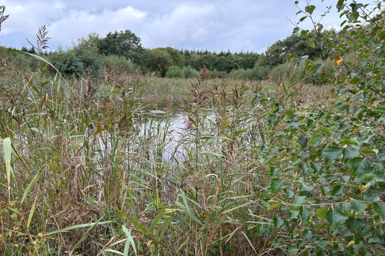 8 Personen Ferienhaus in Ulfborg-Wasserblick