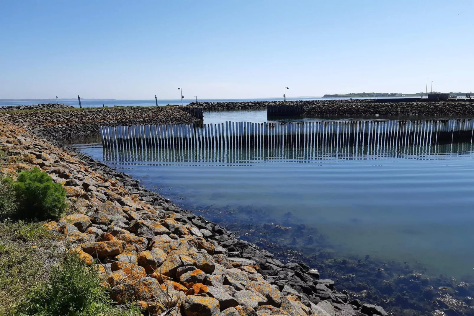 Tranquil Nature Escape-By Traum-Water view