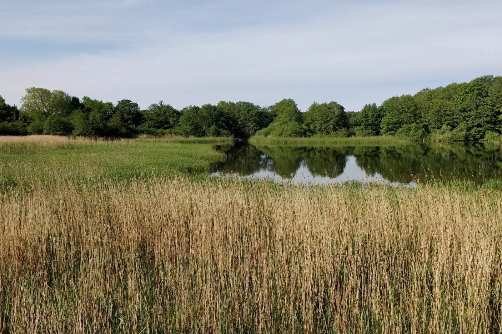 Maison de vacances pour 8 a Ebeltoft-Vue sur l'eau